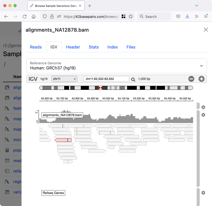 Embedded igv.js genome browser for exploration